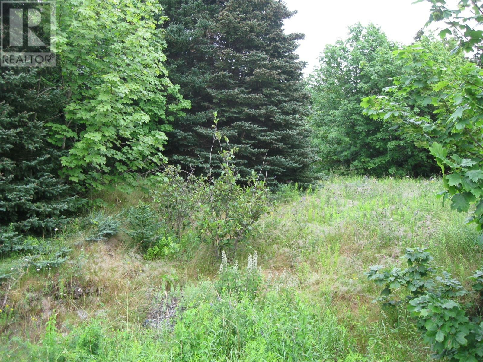 56 Robert's Road N, Conception Bay South, NL, A1X 6K2