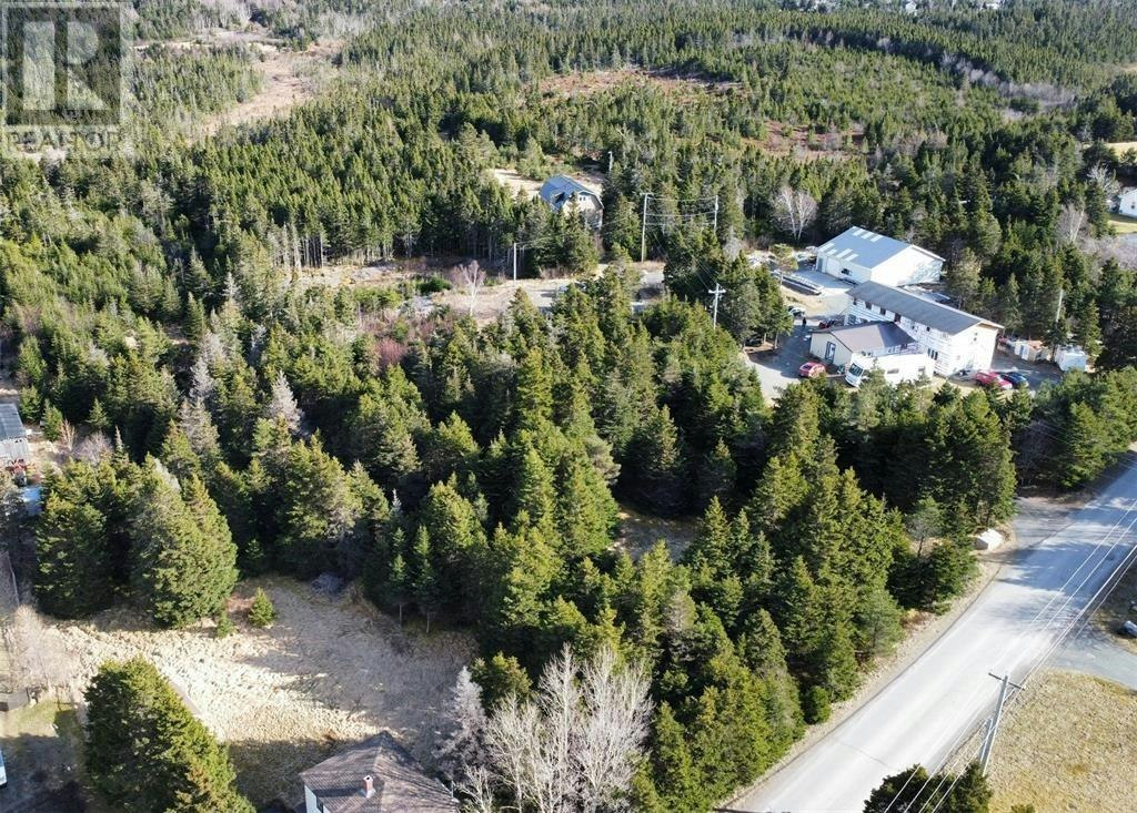 149 Springfield Road, South River, NL, A0A 3W0