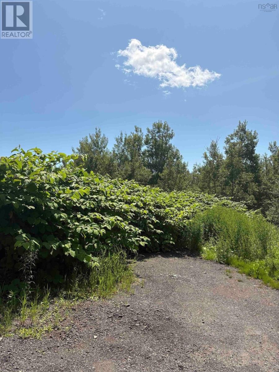 0 Lorway Avenue, Reserve Mines, NS, B1E 1E4