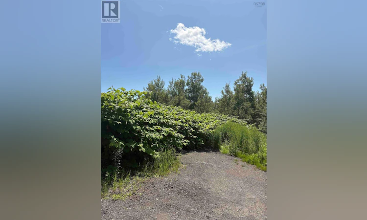0 Lorway Avenue