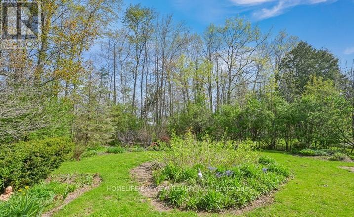 BASEMENT-45 French Crescent, East Gwillimbury, ON, L9N 1J8 - 3