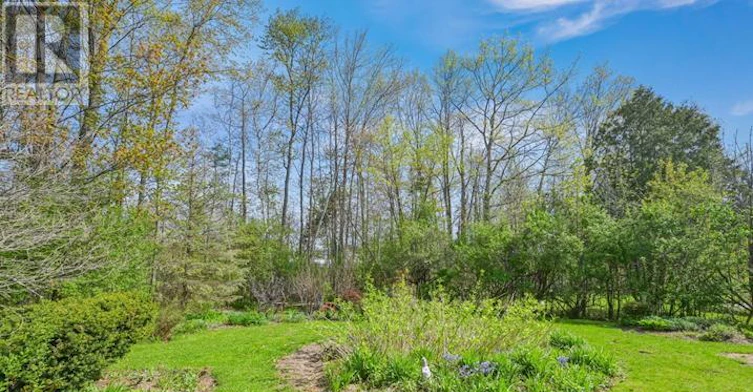 BASEMENT-45 French Crescent, East Gwillimbury, ON, L9N 1J8 - 3