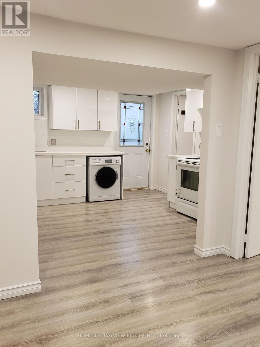 BASEMENT-45 French Crescent, East Gwillimbury, ON, L9N 1J8 - 4