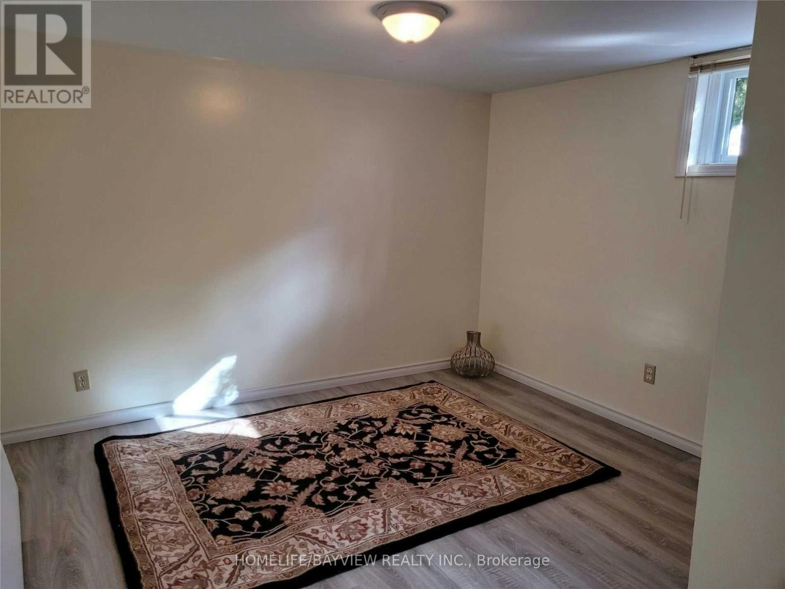 BASEMENT-45 French Crescent, East Gwillimbury, ON, L9N 1J8 - 9