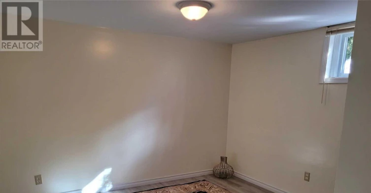 BASEMENT-45 French Crescent, East Gwillimbury, ON, L9N 1J8 - 9