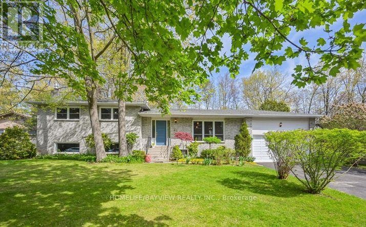 BASEMENT-45 French Crescent, East Gwillimbury, ON, L9N 1J8