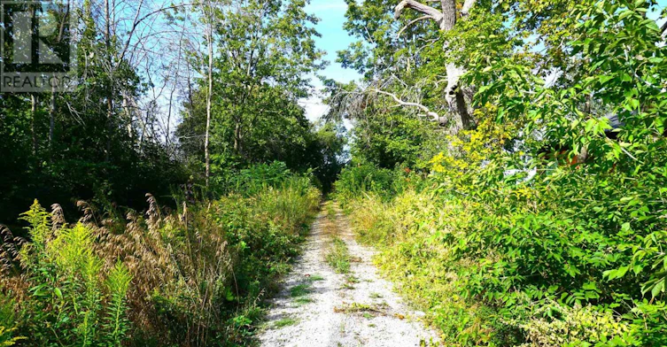2866 Concession B Road, Ramara, ON, L0K 1B0 - 46
