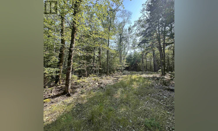 Lot-49 Island View Terrace