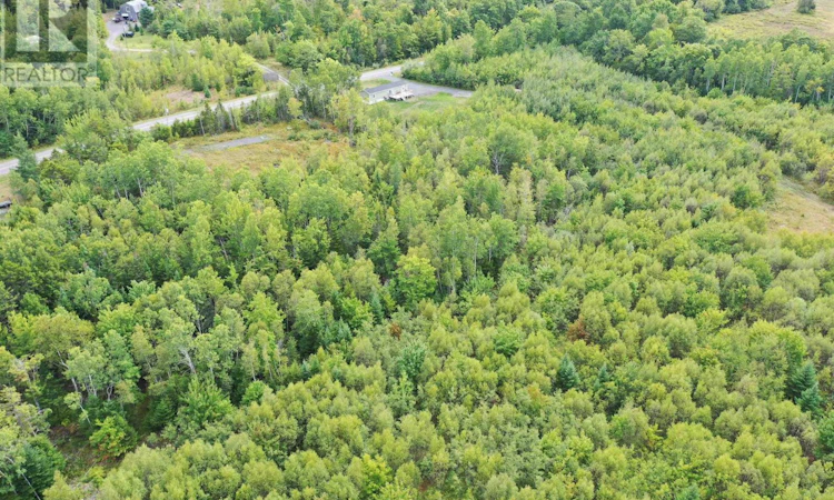 Lot-19 Acres+ Wallace Road