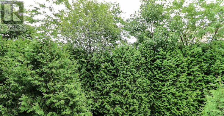 124-55 Trott Boulevard, Collingwood, ON, L9Y 5B8 - 30
