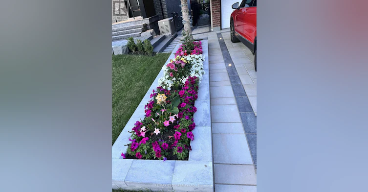 BASEMENT-15 Leyburn Avenue, Richmond Hill, ON, L4C 0J6 - 22
