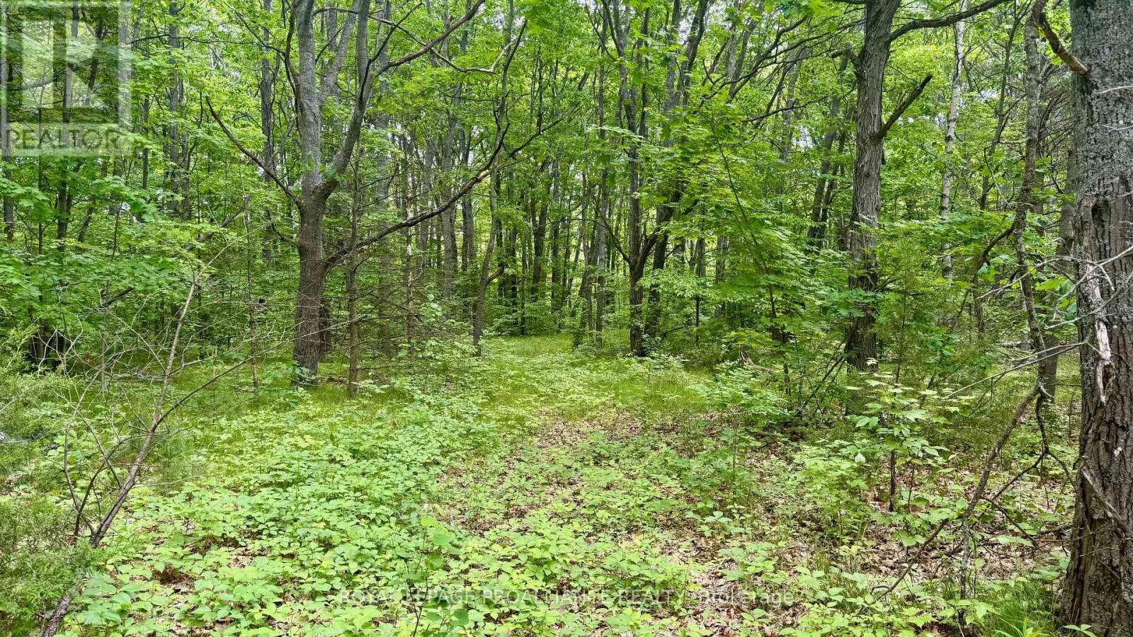 207 Middle Ridge Road, Brighton, ON, K0K 1H0