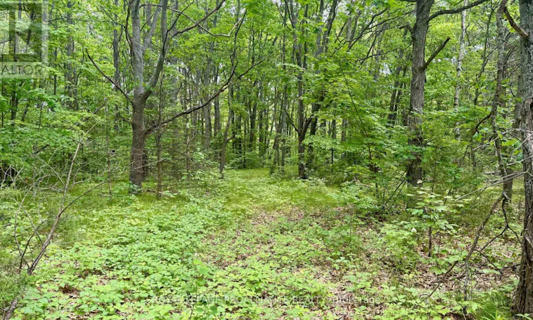 207 Middle Ridge Road