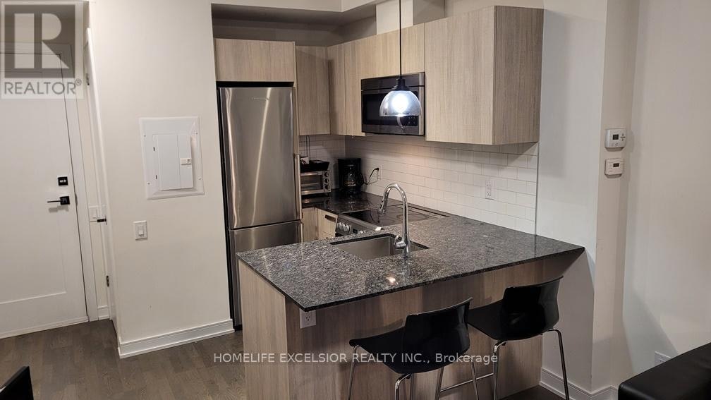 2509-57 St Joseph Street, Toronto, ON, M5S 0C5 - 3