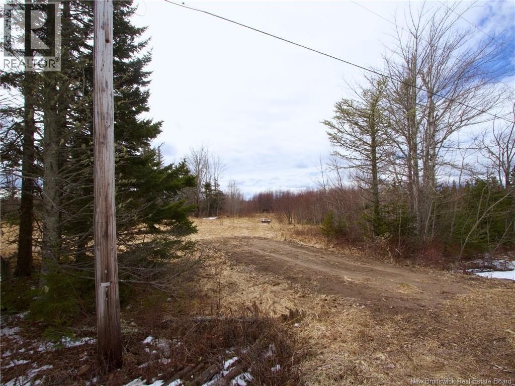 Lot Moore Road, Port Elgin, NB, E4M 3Y1