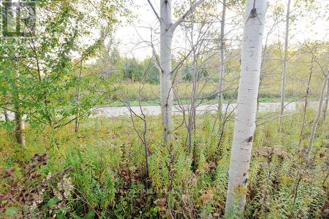 150 Winters Way, Shelburne, ON, L9V 3Y1 - 50