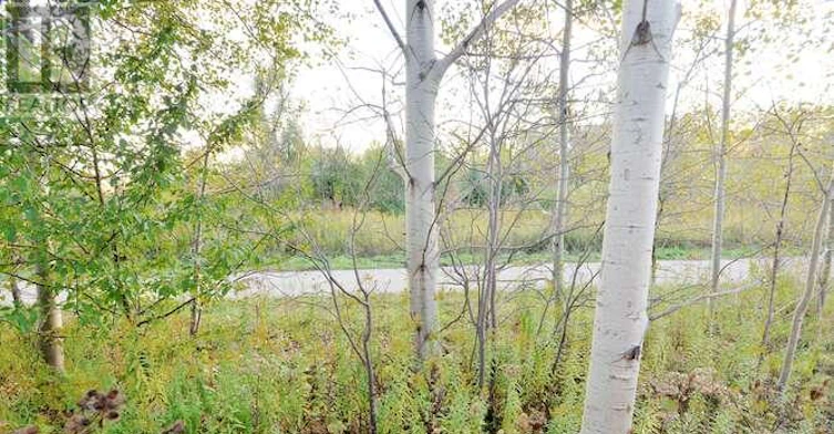 150 Winters Way, Shelburne, ON, L9V 3Y1 - 50
