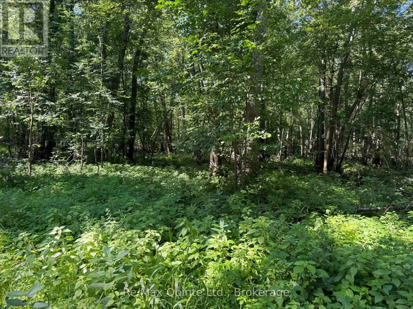 0 Trillium Lane, Tweed, ON, K0K 3J0