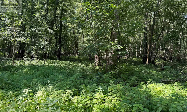 0 Trillium Lane