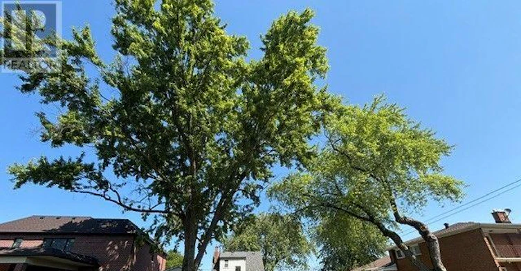 21 Aura Lea Boulevard, Toronto, ON, M9M 1K2 - 20