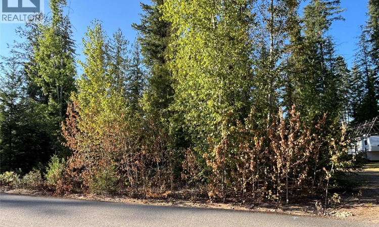 Lot 73-30 Lusk Lake Road
