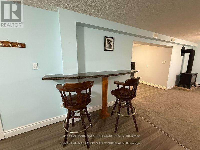 47 Metro Road S, Georgina, ON, L4P 3J5 - 32