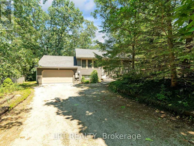 7806 Alfred Crescent - 2