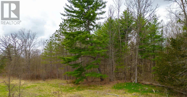 29200 7 Highway, Central Frontenac, ON, K0H 1B0 - 28