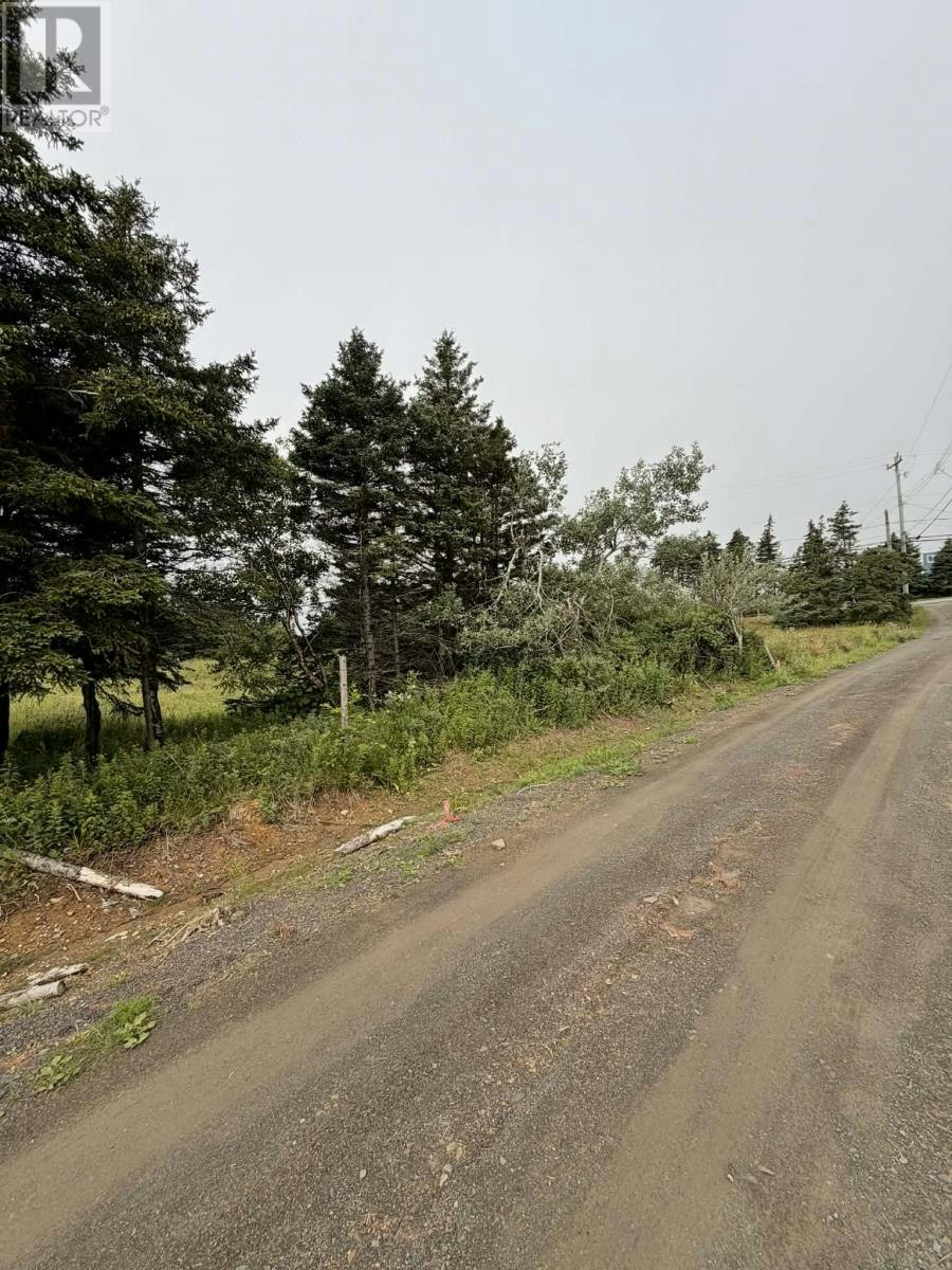 4-6 Lahey's Lane, Wabana, NL, A0A 1H0