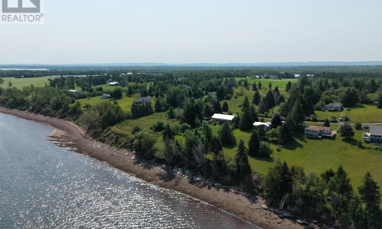 81 Appalosa Trail