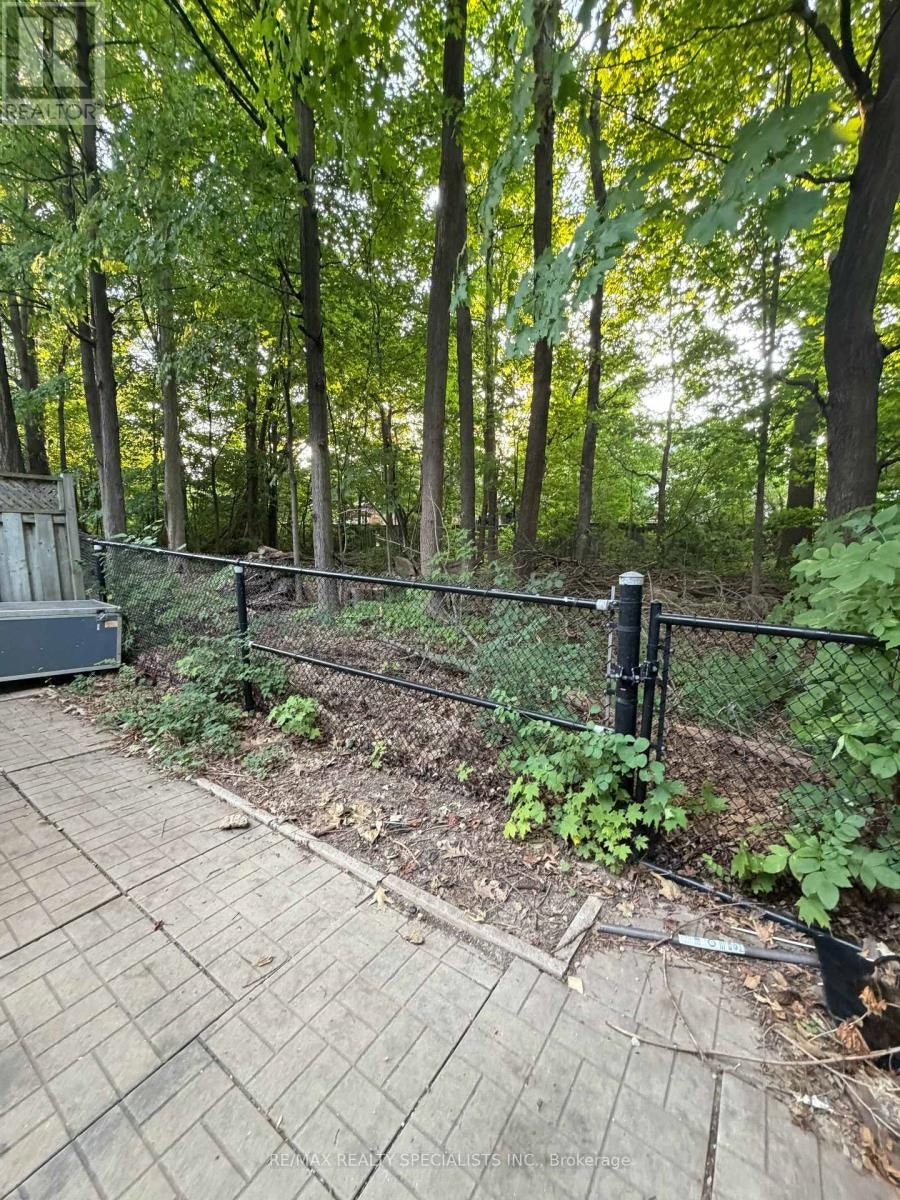 LOWER-5431 Tree Crest Court, Mississauga, ON, L5R 3Z8 - 14