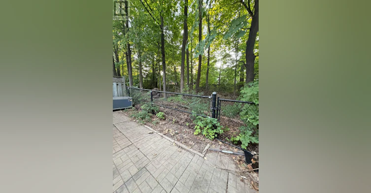 LOWER-5431 Tree Crest Court, Mississauga, ON, L5R 3Z8 - 14