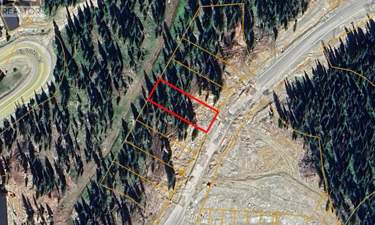 Lot 5-Black Forest Way