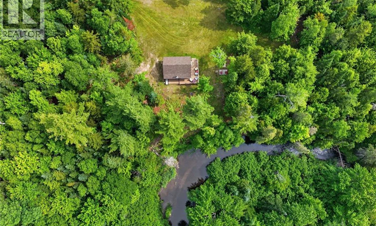 1391 Tweedie Brook