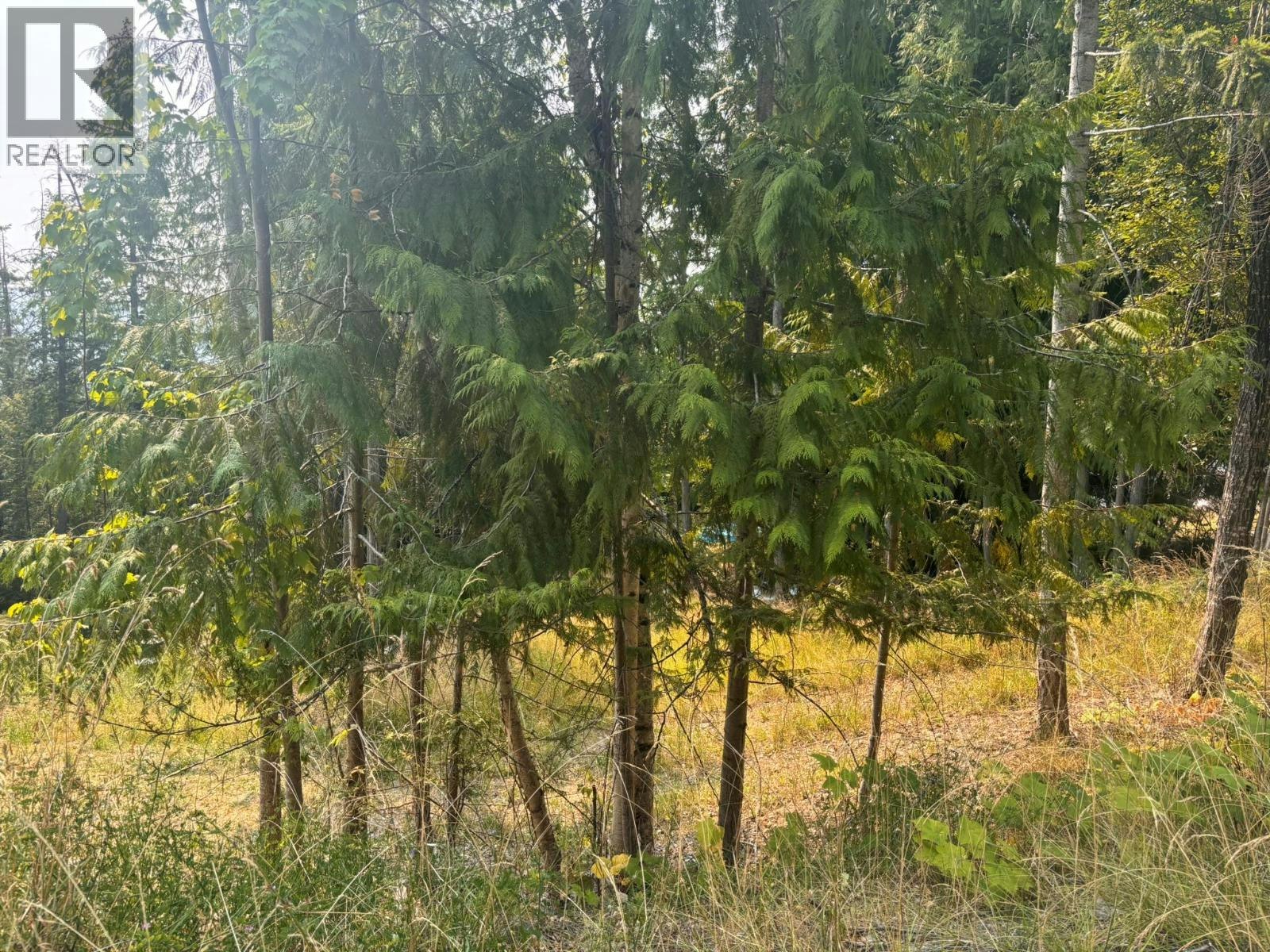 Lot-170 Estate Close, Anglemont, BC, V0E 1M8
