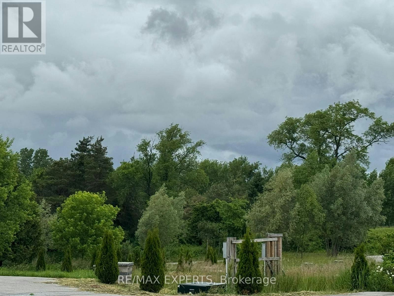 4509/B-10 Side Road, Kawartha Lakes, ON, L0L 1R0 - 6