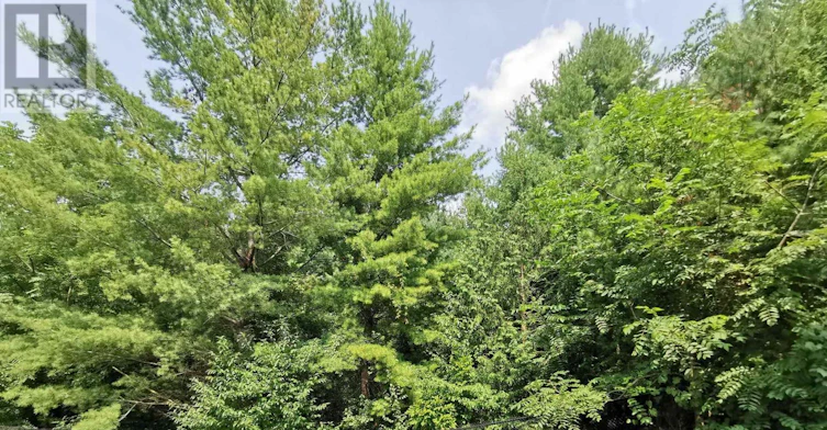657 Clifford Perry Place, Newmarket, ON, L3X 0J4 - 19