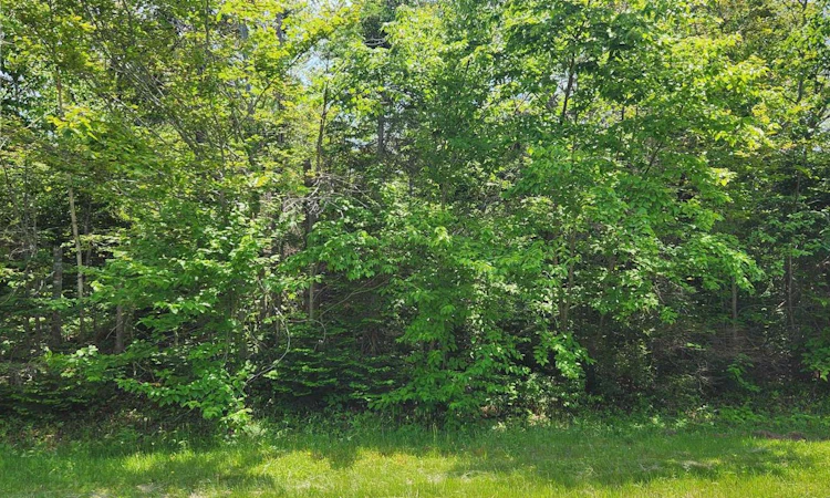 Acreage Greys Road Road