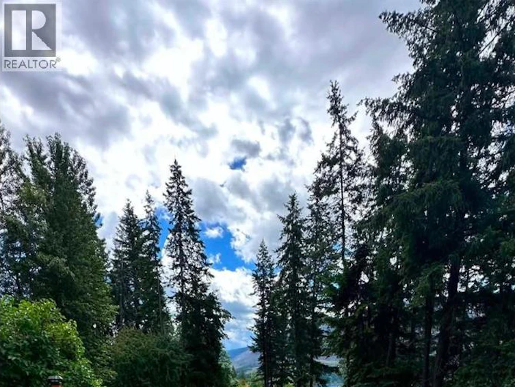 14-2481 Squilax Anglemont Road, Lee Creek, BC, V0E 1M4 - 9