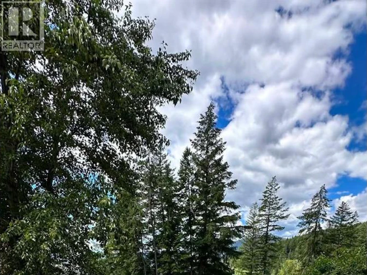 14-2481 Squilax Anglemont Road, Lee Creek, BC, V0E 1M4 - 10
