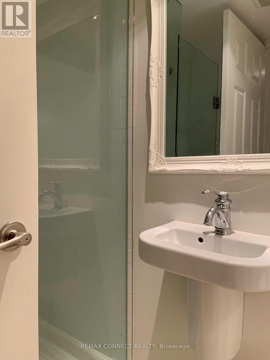 LOWER-123 Bedford Road, Toronto, ON, M5R 2K6 - 14