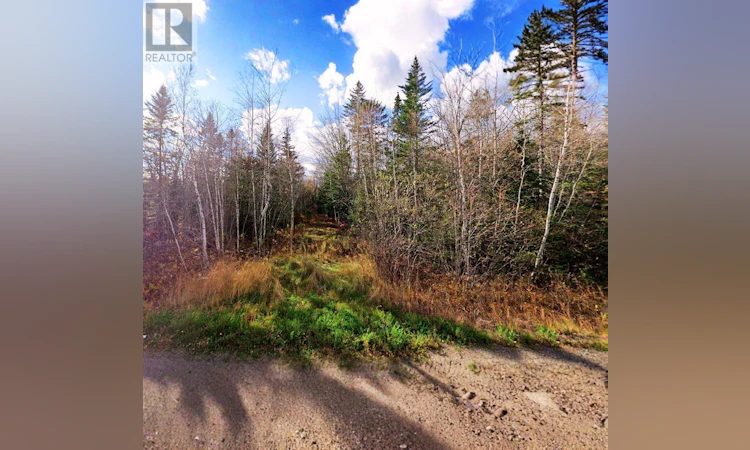 Lot-17 302 Highway