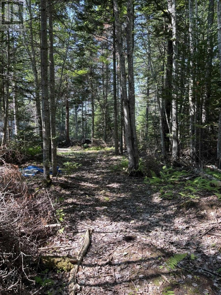 25-5 Factory Road, Lismore, NS, B0K 1J0