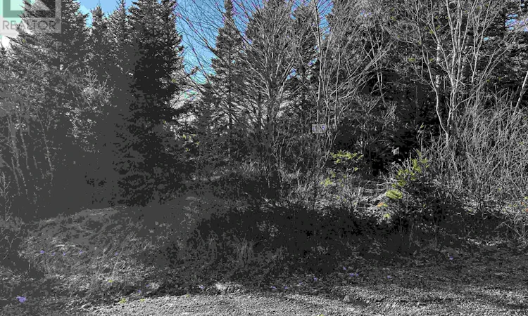 Old Monastery Road