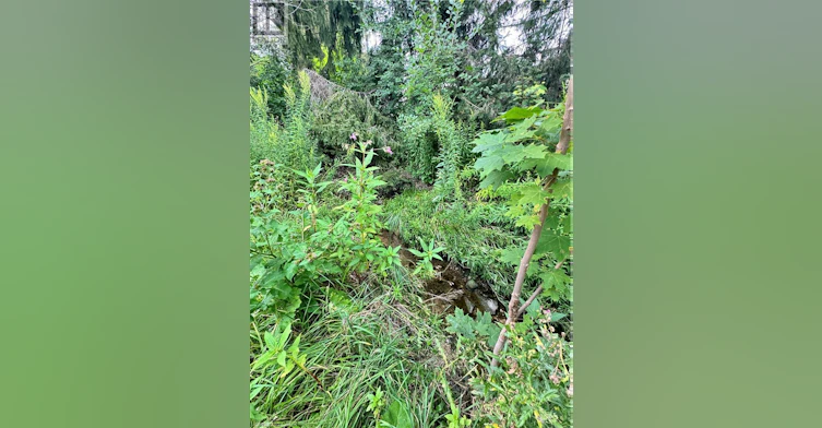 J-655 Albert Street, Waterloo, ON, N2L 3V5 - 16