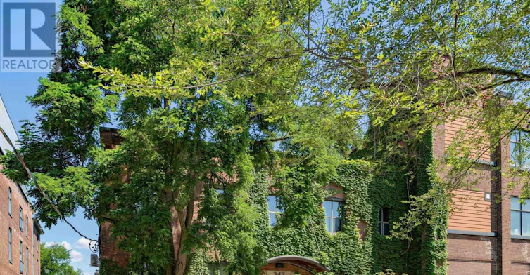 123-347 Sorauren Avenue, Toronto, ON, M6R 2G5 - 2