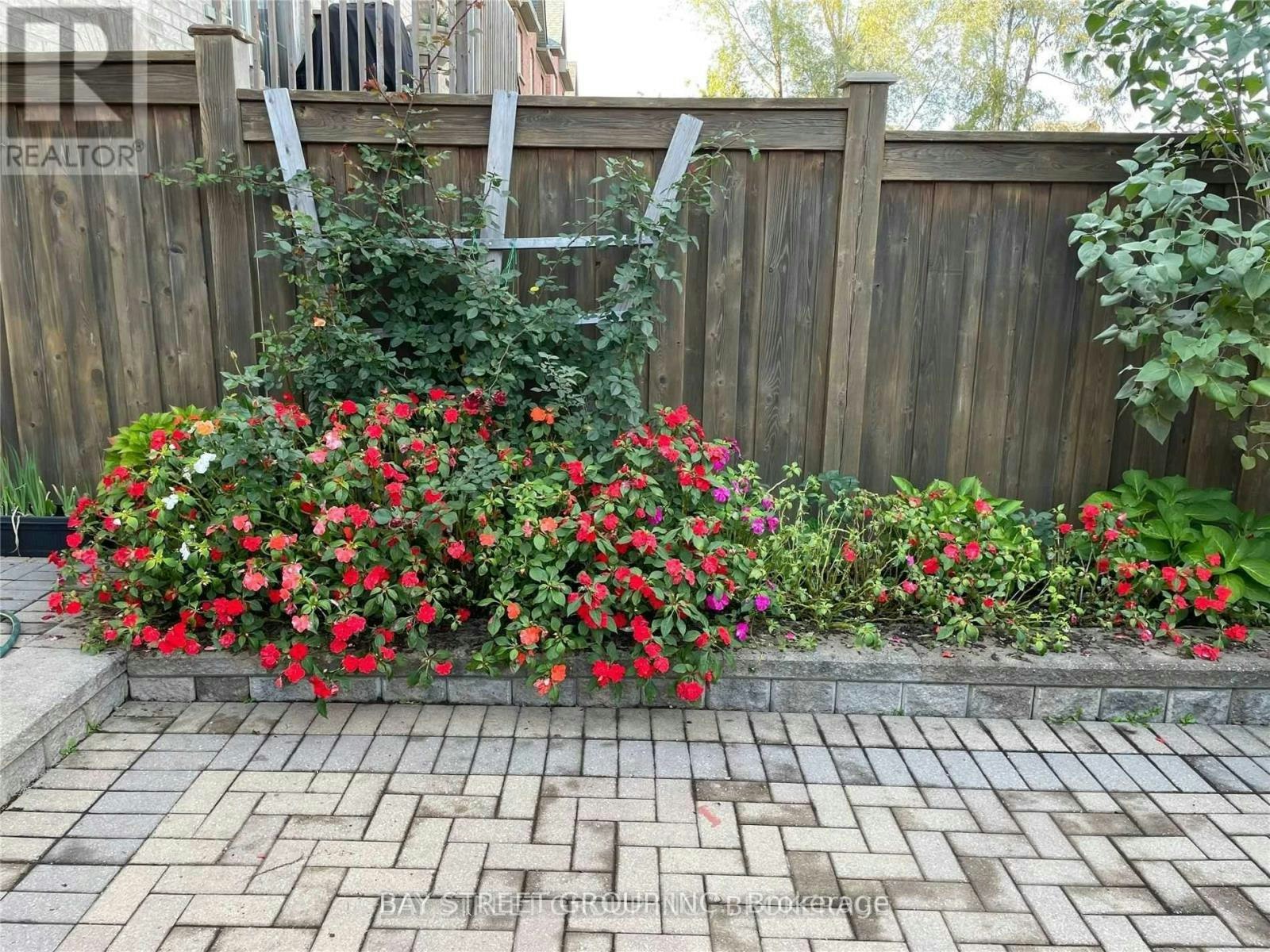56 Albright (Lower Court, Richmond Hill, ON, L4E 4Z4 - 3