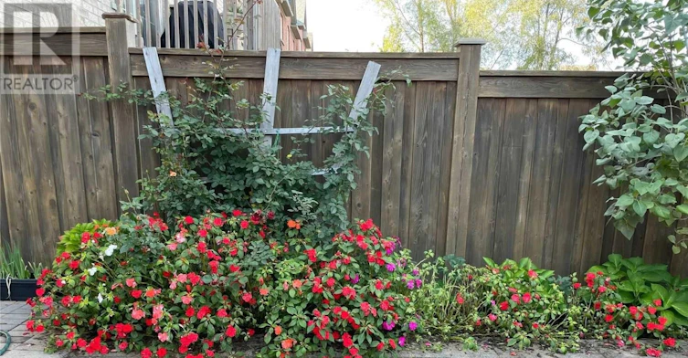 56 Albright (Lower Court, Richmond Hill, ON, L4E 4Z4 - 3