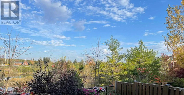 56 Albright (Lower Court, Richmond Hill, ON, L4E 4Z4