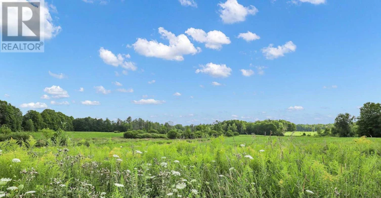 165 Knapp Street, Rideau Lakes, ON, K0G 1E0 - 35
